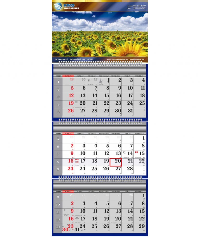 Buy Business Promotional Three Month Panel Wire Wall Calendars